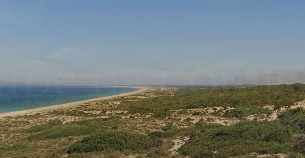 Private Transfer to or From Comporta - Key Points