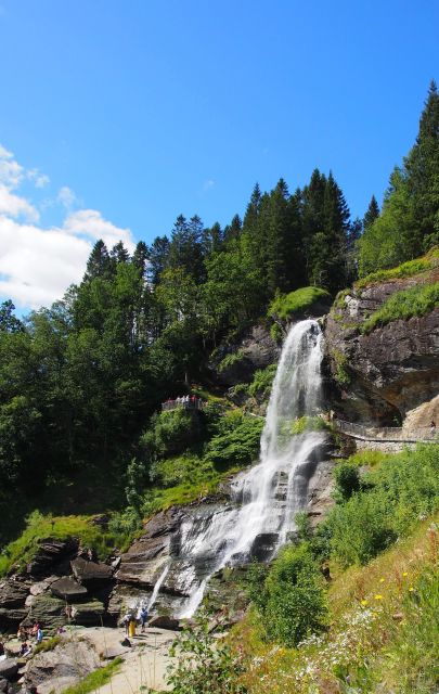 Private Trip to Hardanger Fjord Lunch at a Cider Farm Included. - Key Points