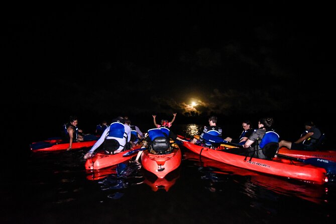 Puerto Rico Sunset Magic: Bio Bay Kayaking Tour From Fajardo - Overview of the Bio Bay Tour