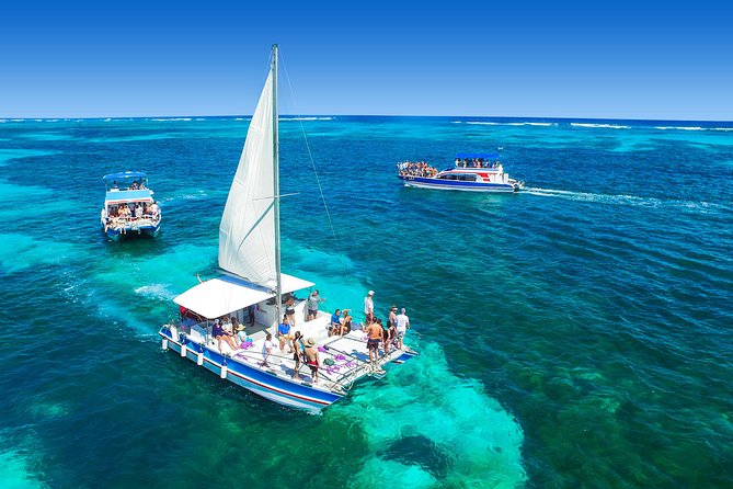 Punta Cana Private Cruise up to 10 Snorkeling & Seafood Lunch - Key Points