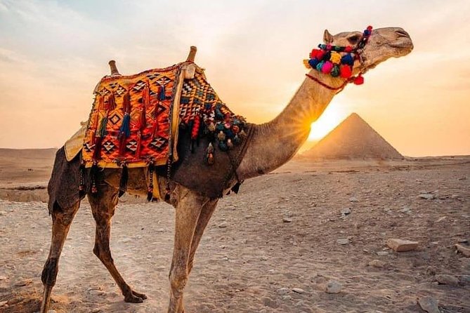 Pyramids Camel Ride - Key Points