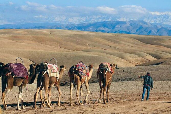 Quad Biking & Camel Ride in Agafay Desert With Dinner Show - Desert Adventure Overview