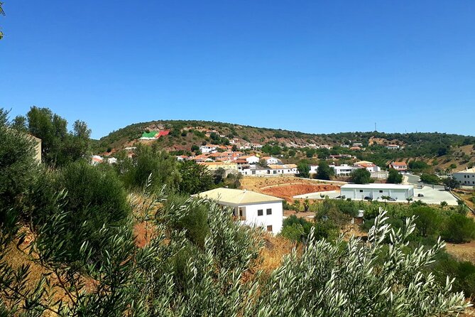 Quad Biking Sightseeing Tour in Albufeira - Overview of the Tour