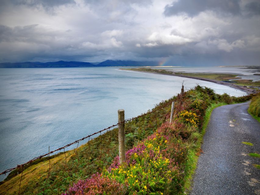 Rail Tour From Dublin: the Ring of Kerry - Key Points