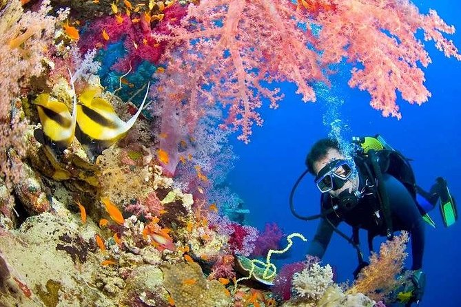 Red Sea Snorkeling From Hurghada - Overview of the Tour