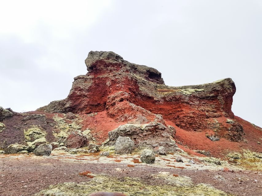 Reykjavik: Red Lava Horse Riding Tour - Key Points