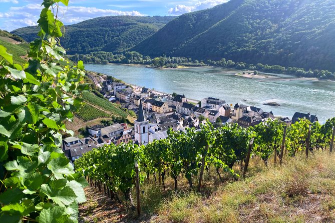 Rhine Valley Wine Tasting Tour From Frankfurt and Mainz - Key Points