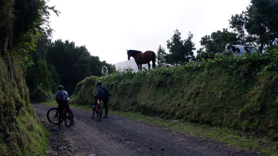 Ribeira Grande: Guided E-Bike Tour - Key Points