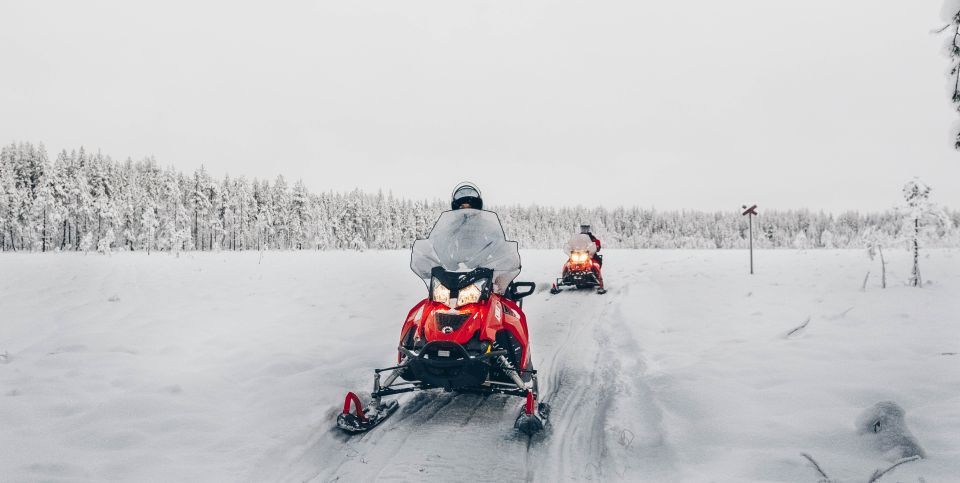 Rovaniemi: 4-Hour Snowmobile Safari - Key Points