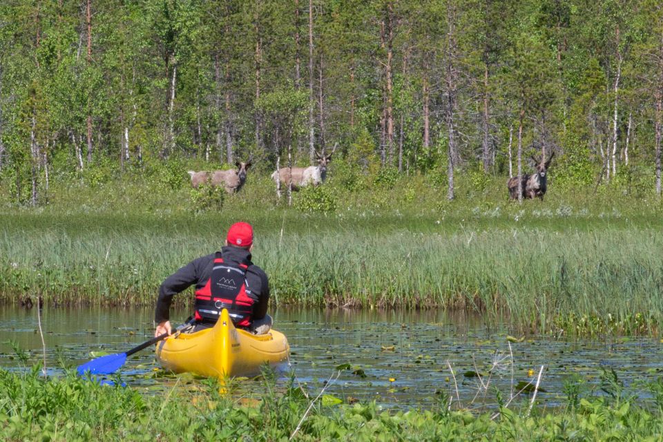 Rovaniemi: Authentic Reindeer Farm & Canoeing - Key Points