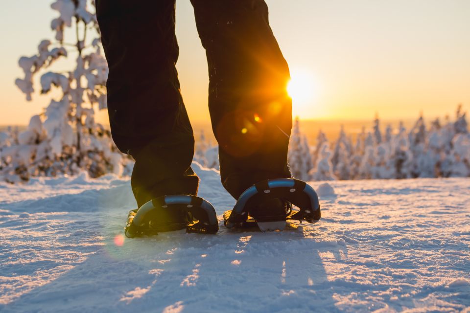 Rovaniemi: Guided Lappish Wilderness Snowshoeing Adventure - Key Points