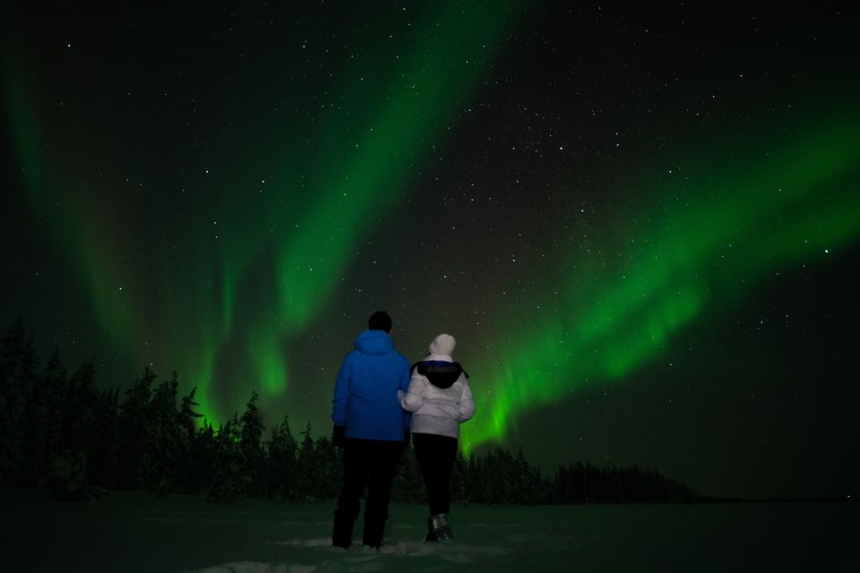 Rovaniemi: Guided Northern Lights Tour - Key Points