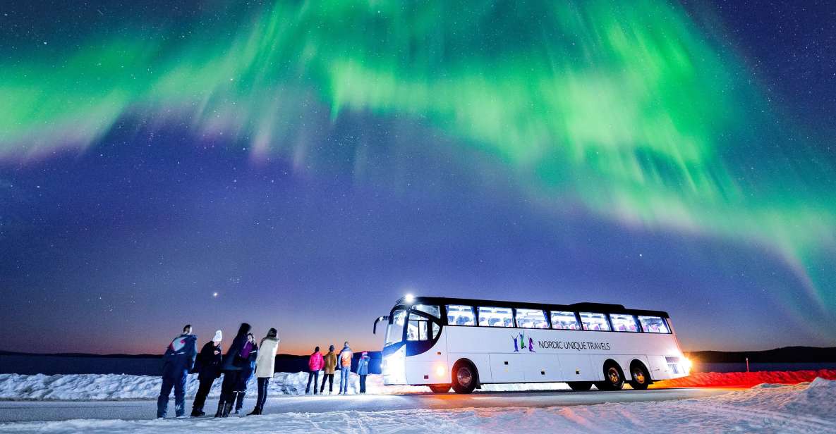 Rovaniemi: Hunting Northern Lights Bus Tour - Key Points