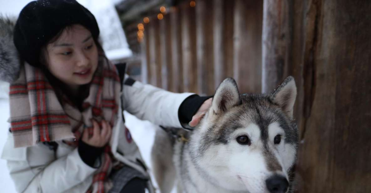 Rovaniemi: Santa Claus Village Tour Huskies & Reindeer Visit - Key Points