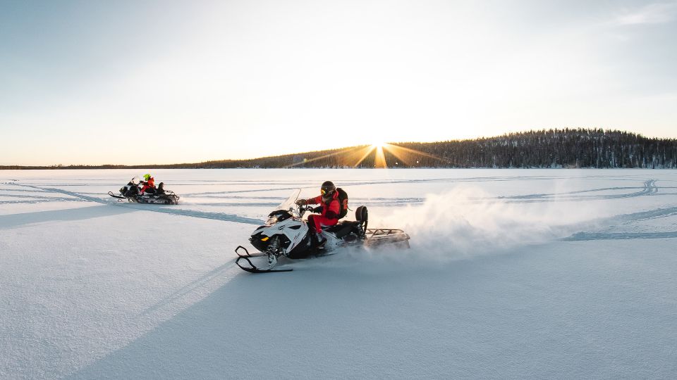 Rovaniemi: Snowmobile Safari for Adults - Key Points