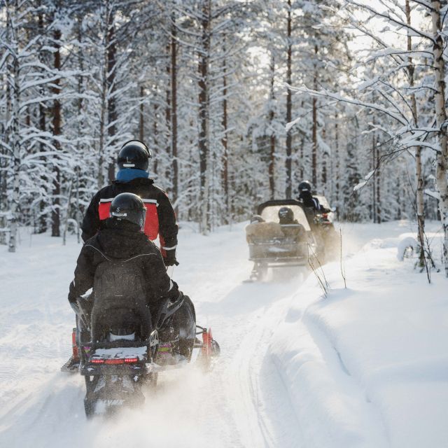 Rovaniemi: Snowmobile Safari in the Arctic Circle - Key Points