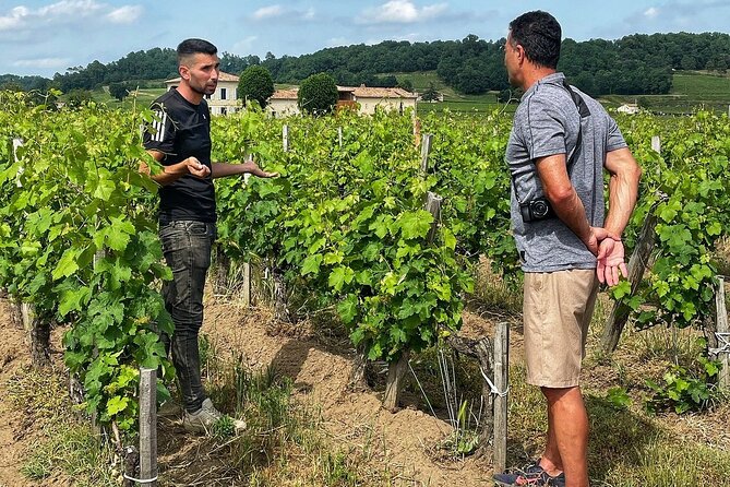 Saint-Émilion: 2 Hours - Visit of the Vineyard, the Cellar, and Tasting - Key Points