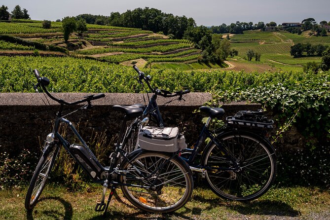 Saint-Émilion Wine Tour By Electric Bike, Lunch Included - Key Points