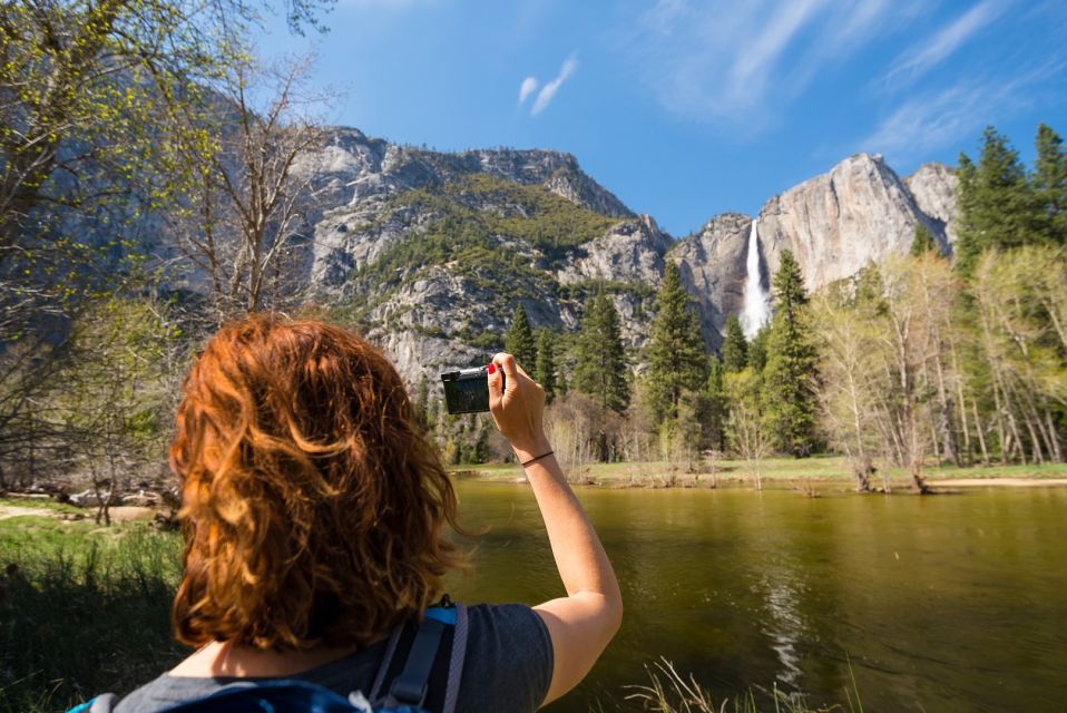 San Francisco To/From Yosemite National Park: 1-Way Transfer - Key Points