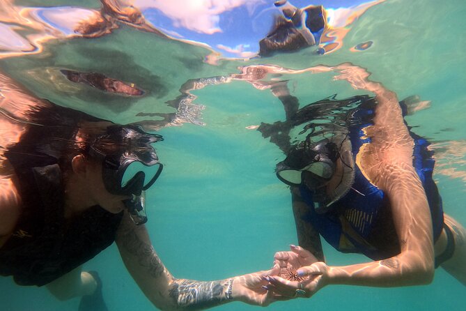 San Juan Guided Snorkel Tour With Videos - Tour Overview