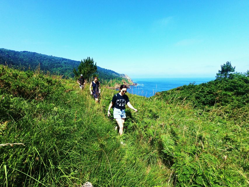 San Sebastian: Hike in the Northern Way of the Camino De Santiago - Key Points