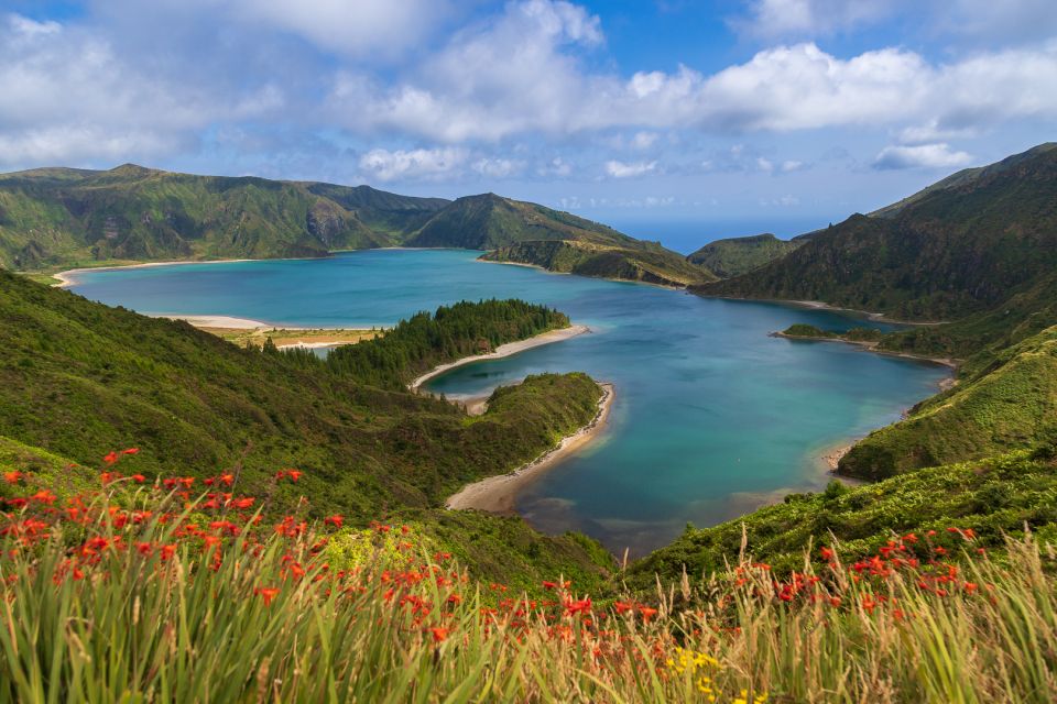 São Miguel: Whales & Volcano Full-Day Tour With Lunch - Key Points