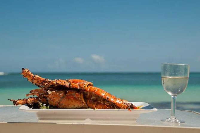 Saona Island Day Trip + Lobsters & Wine Included - Key Points