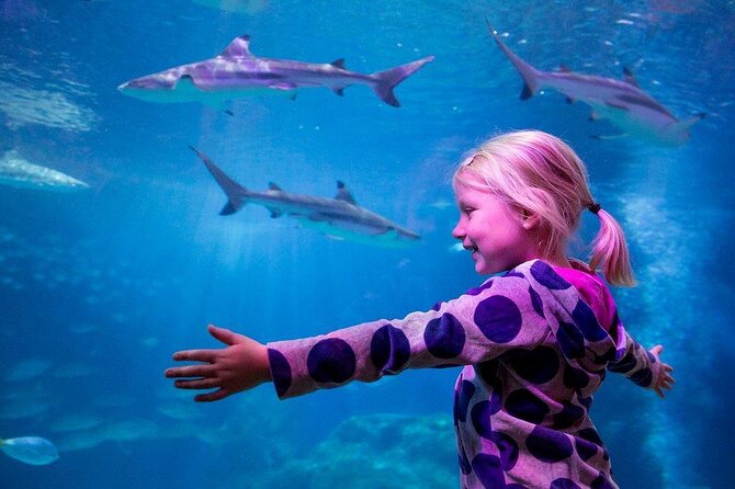 SEA LIFE Oberhausen Admission Ticket - Key Points