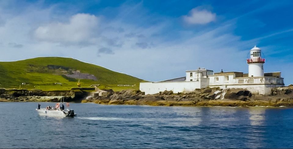 Sea Safari & Adventure : The Valentia Island Experience - Key Points