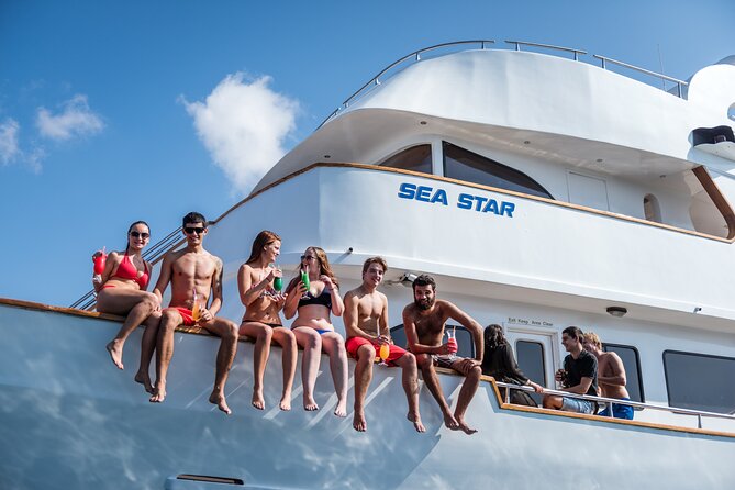 Sea Star | Half Day Cruise - Key Points