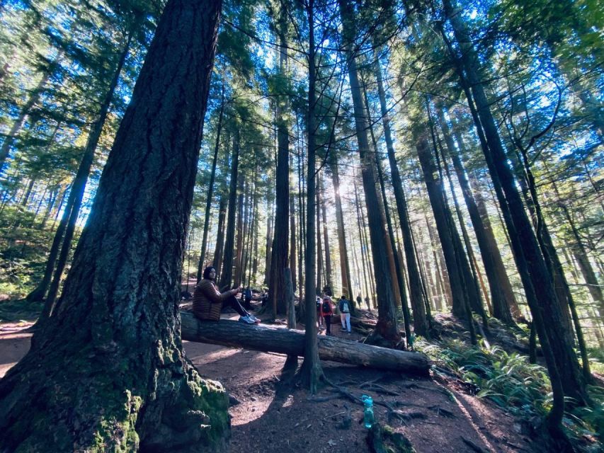 Seattle: Sensory Hike in Twin Fall for Adventurous Families - Key Points