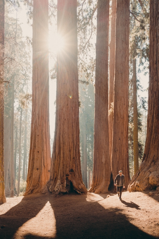 Sequoia & Kings Canyon National Parks: Two-Day Private Tour - Key Points