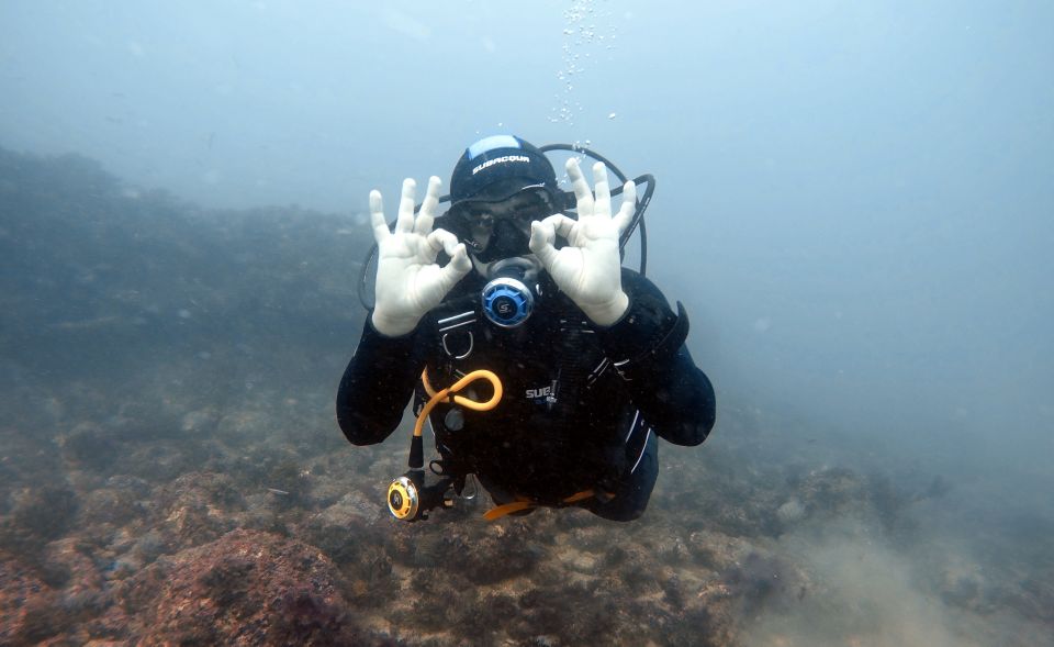 Sessimbra: SSI Basic Diver Certification - Activity Overview