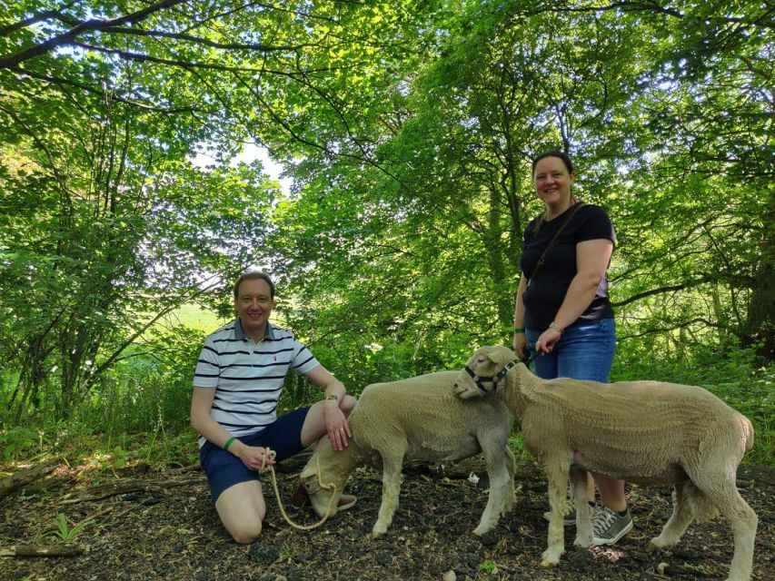 Shropshire Sheep Trekking - Key Points