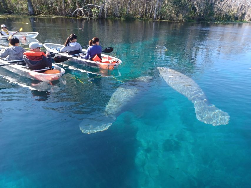 Silver Springs: Manatees and Monkeys Clear Kayak Guided Tour - Key Points