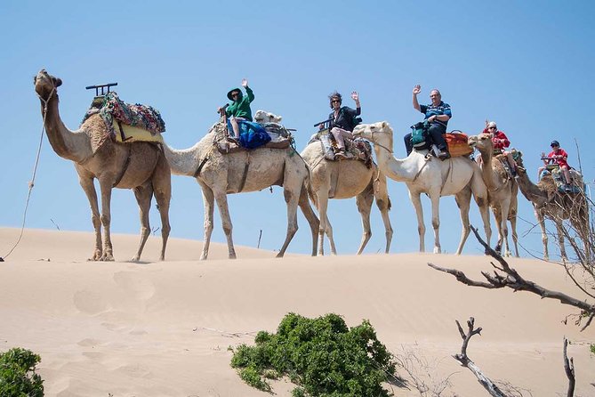 Small Sahara Desert From Agadir With Lunch 4x4 - Key Points