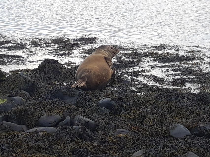 Snaefellsnes Peninsula Private Tour From Reykjavik - Key Points