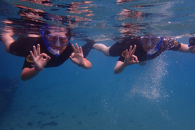 Snorkel Experience in Lanzarote - Key Points