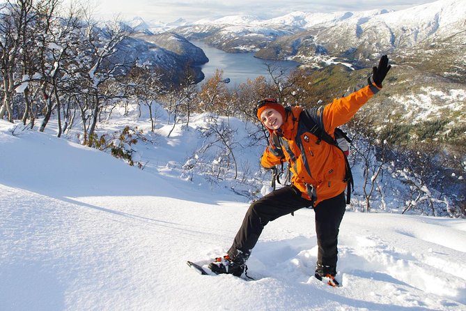 Snowshoeing Winter Day Trip In Bodo, Northern Norway Key Points