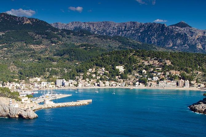 Soller Port With Train and Tram Mallorca Half Day Trip - Key Points