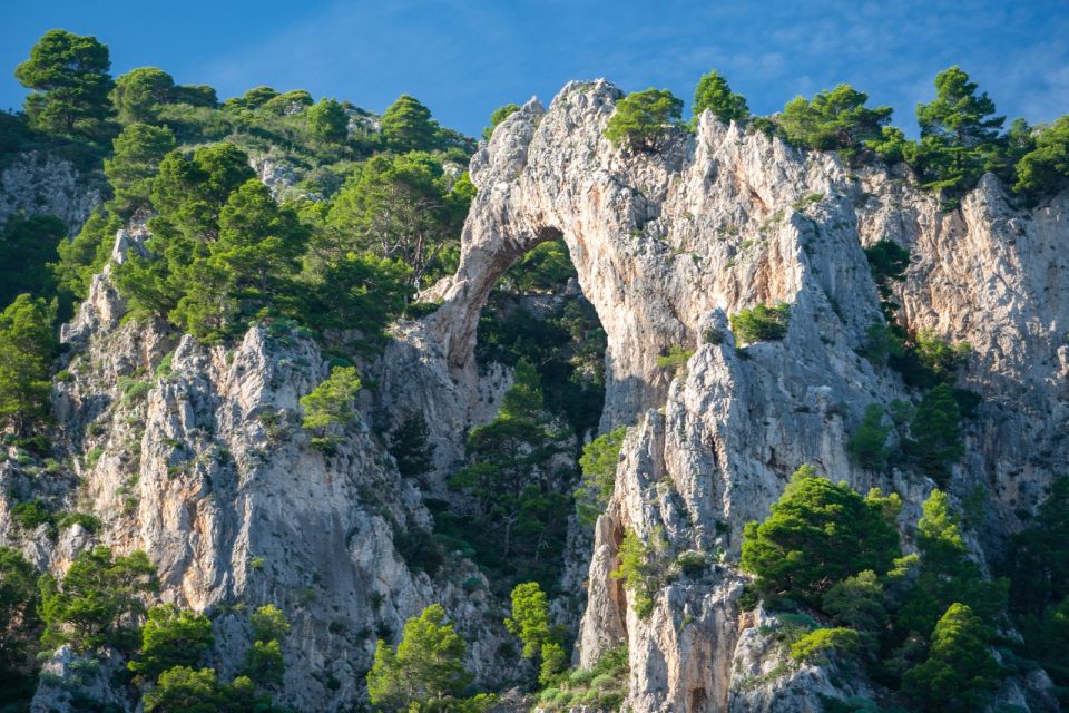 Sorrento: Capri White Grotto & Blue Grotto Private Boat Trip - Key Points