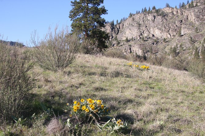 South Okanagan Desert Tour