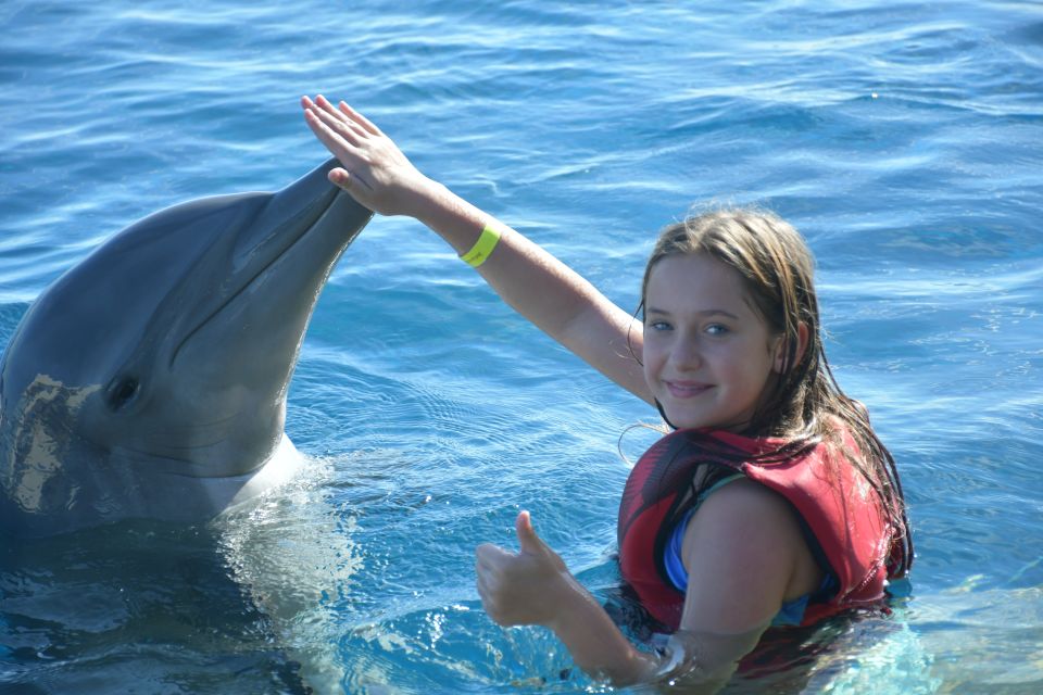 St. Augustine: Marineland Dolphin Encounter - Key Points