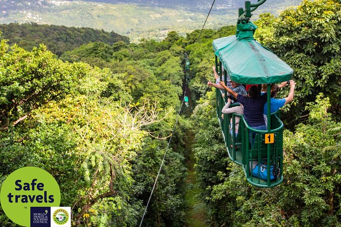 St. Lucia Aerial Tram Tour at Rainforest Adventures - Overview of the Rainforest Tour