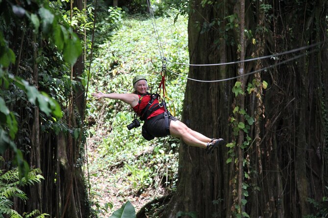 St. Lucia Morne Coubaril Estate Zipline Experience - Overview of the Zipline Experience