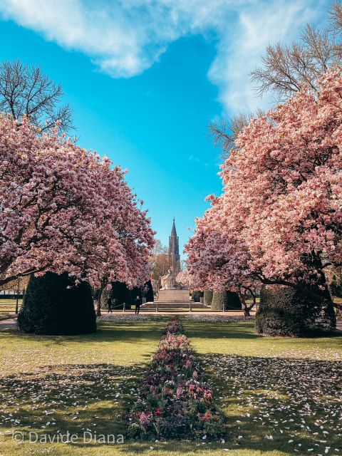 Strasbourg: Guided Historical Neighborhoods Walking Tour - Key Points