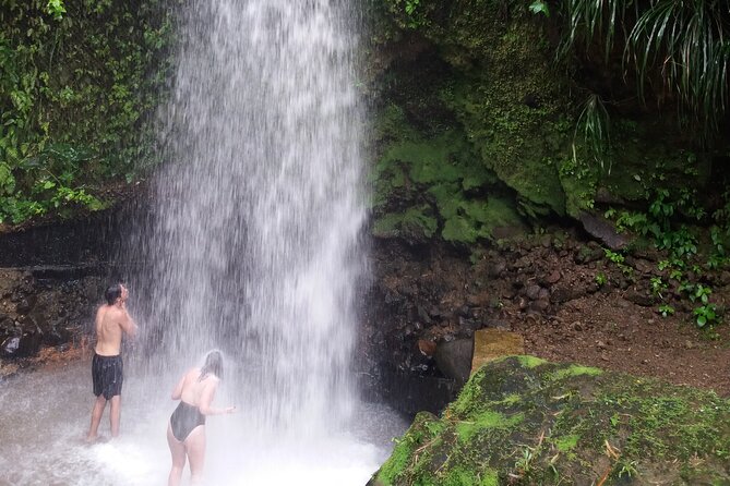 Sulphur Springs Mud Bath and Toraille Waterfall Tour With Creole Lunch - Tour Overview