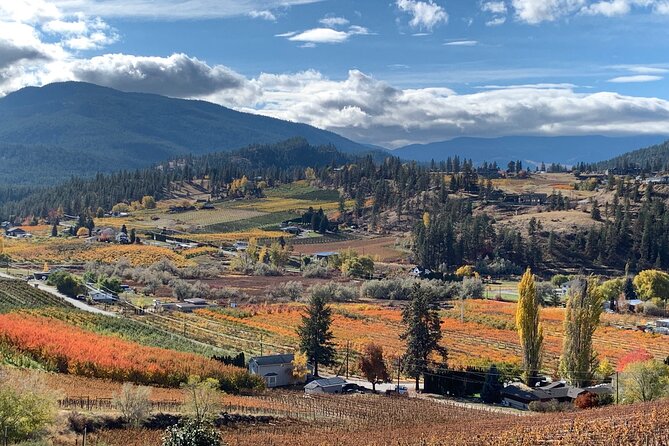 Summerland Bottle Neck Drive Holy Sip Full Day Shared Tour With Lunch Stop Tour Inclusions