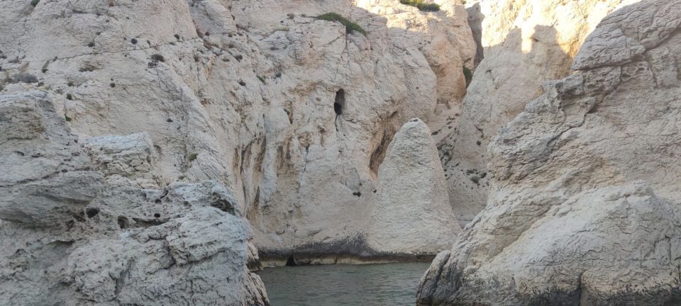 Sunrise Boat Cruise to the Calanques & Cote Bleu Marine Park - Key Points