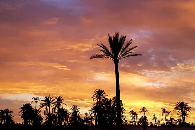 Sunset Camel Ride in Agadir or Taghazout With Transfers - Inclusions